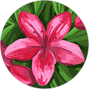 gabi g profile picture